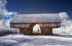 Infra Red - Tennessee : 